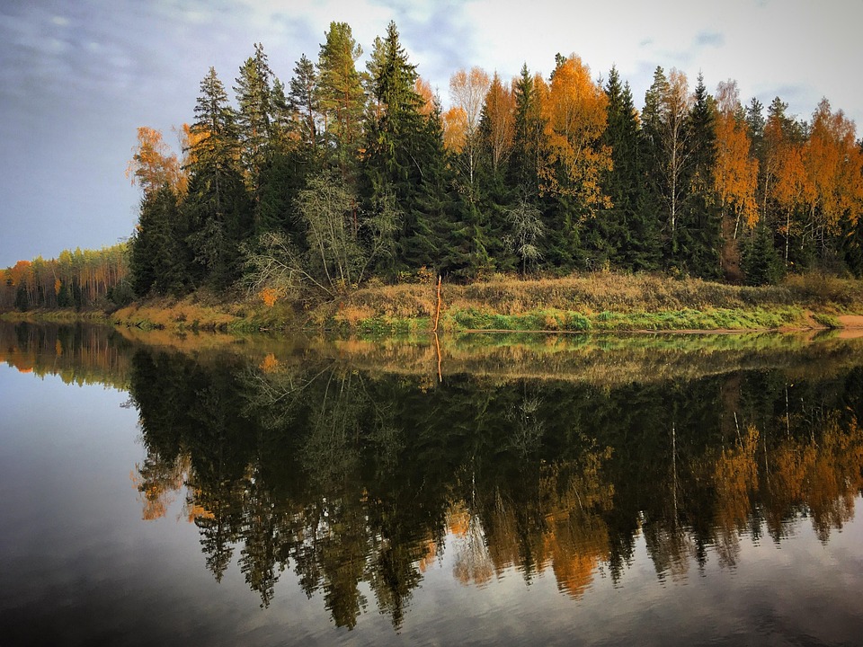 Gauja River winding through autumn forest with golden and red foliage
